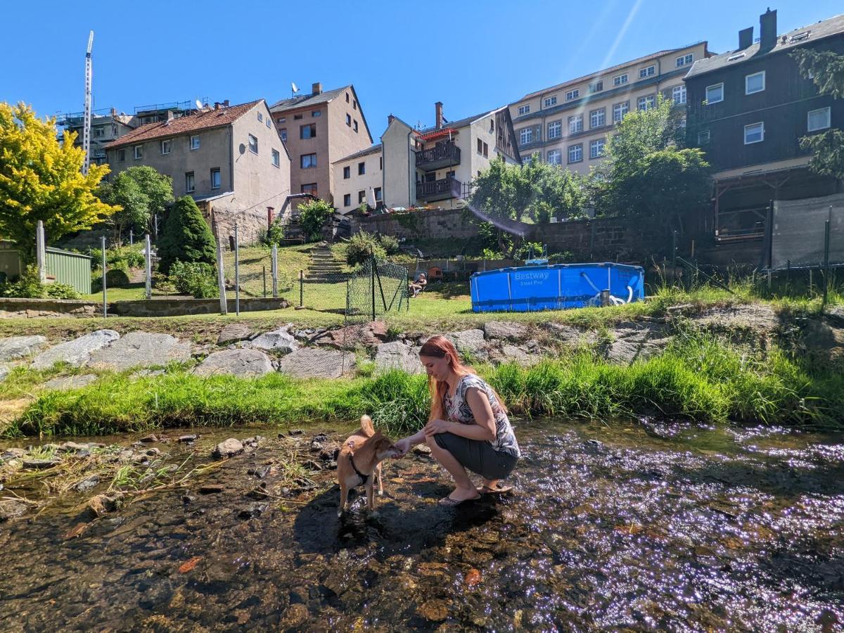 Lichtdurchflutete Helle Wohnung Mit Garten Sauna & Pool - Hw3 ゼーブニッツ エクステリア 写真